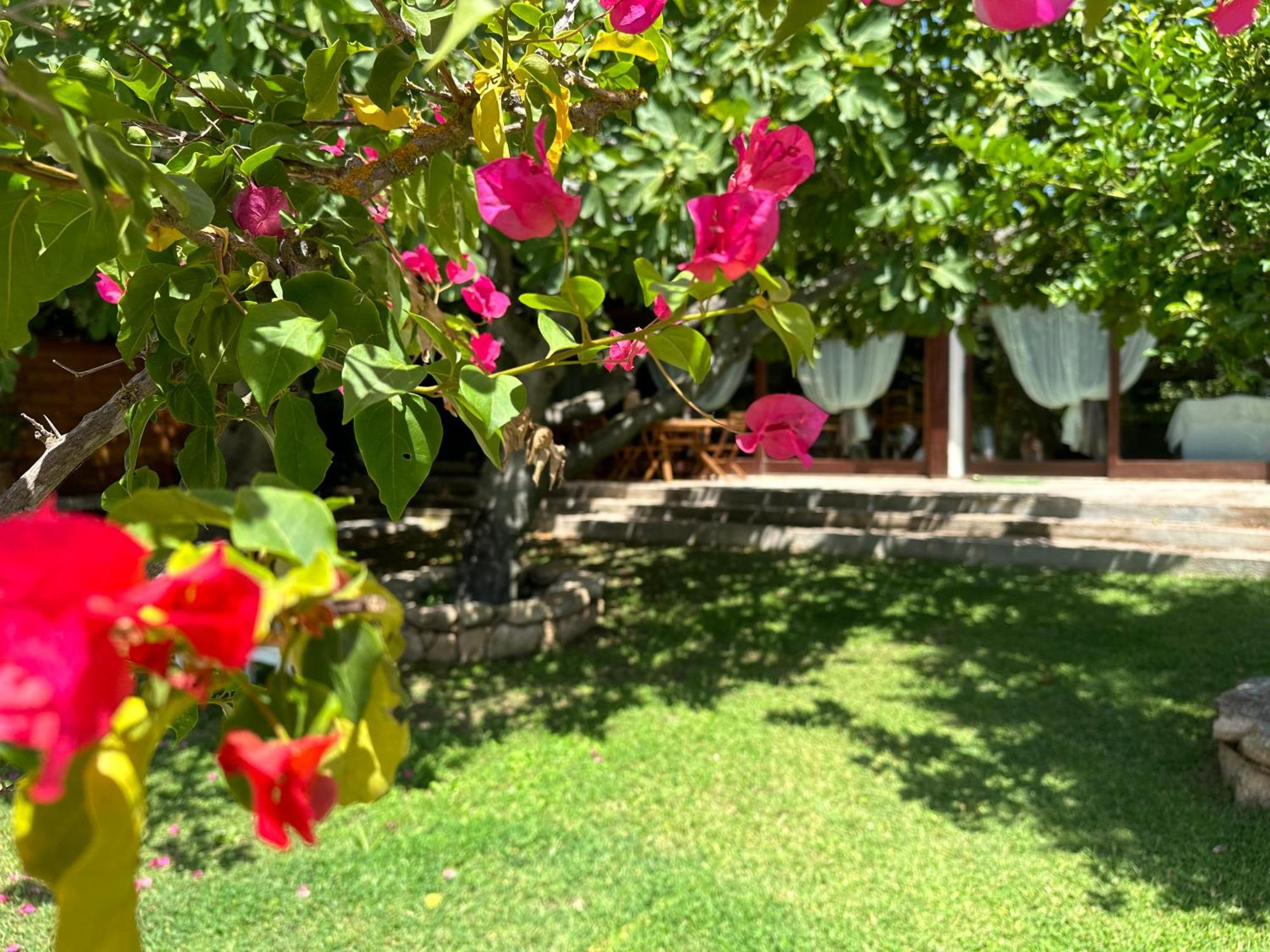 Villa Niloan Olbia Luaran gambar